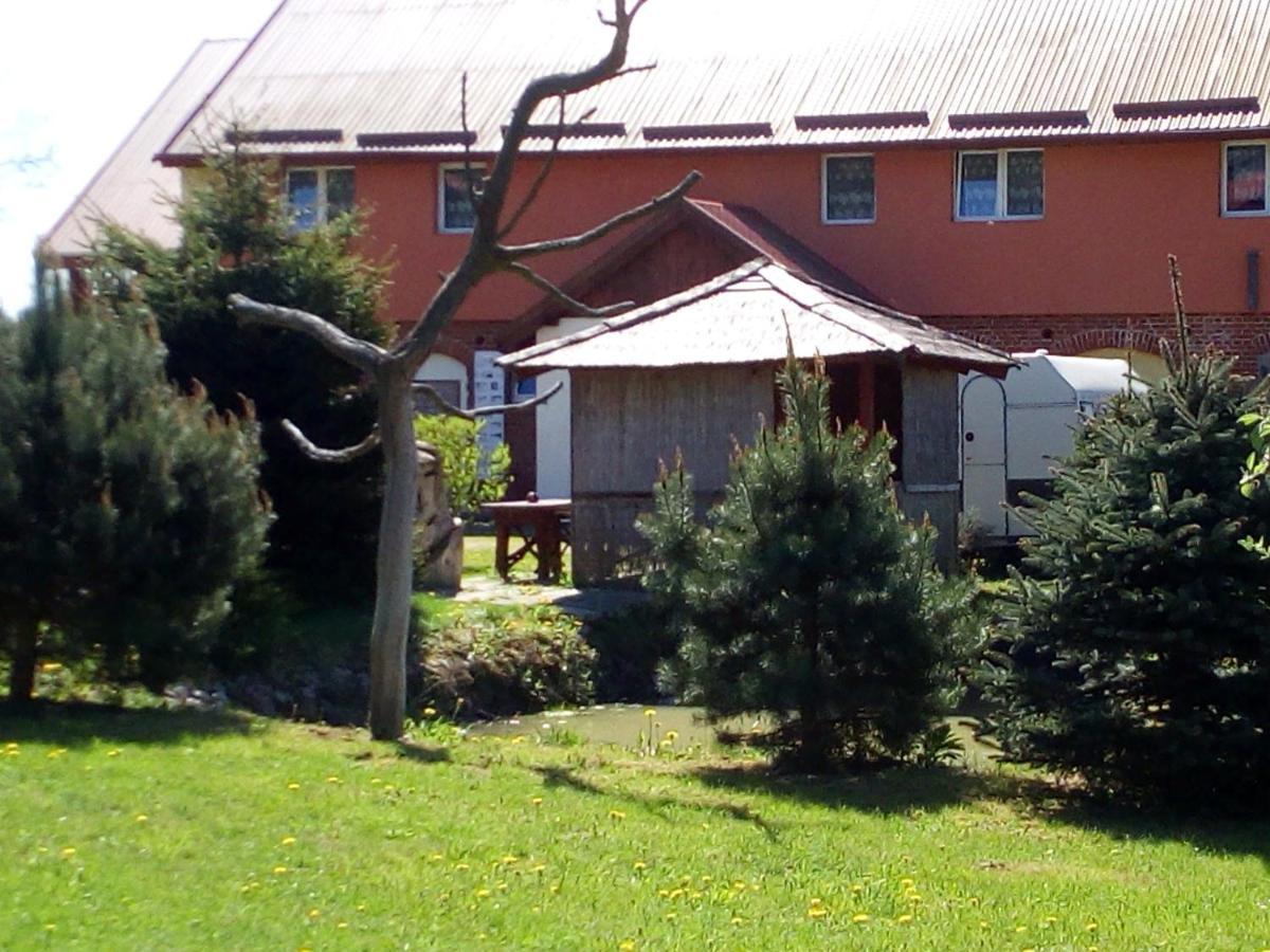 Agroturystyka Andrzejowka Czerniki Exterior foto