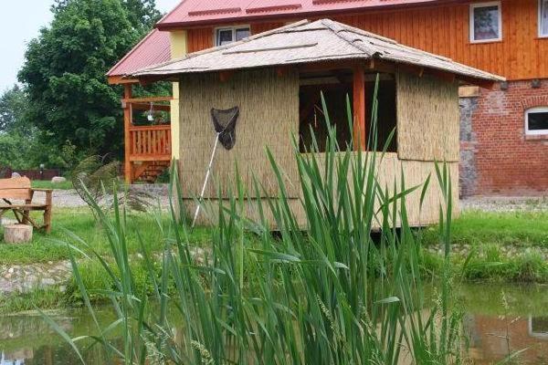 Agroturystyka Andrzejowka Czerniki Exterior foto