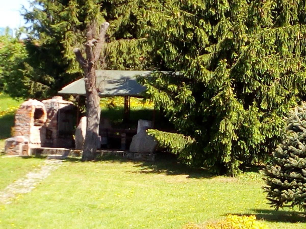 Agroturystyka Andrzejowka Czerniki Exterior foto